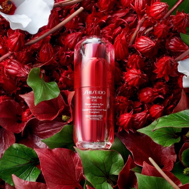 SHISEIDO資生堂紅妍超導循環眼部精華15ml