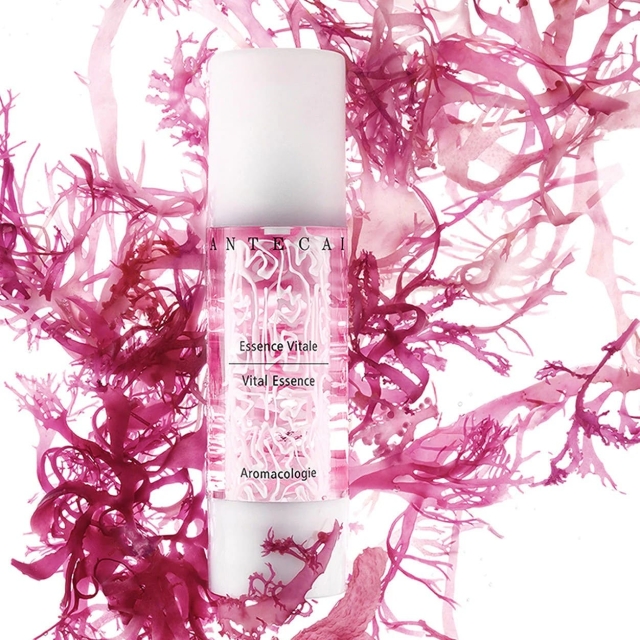 Chantecaille香緹卡花妍活膚精華液50ml