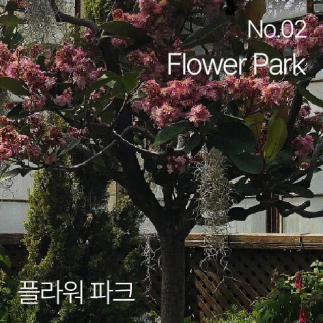 hetras沐浴乳1013ml#花園 Flower Park