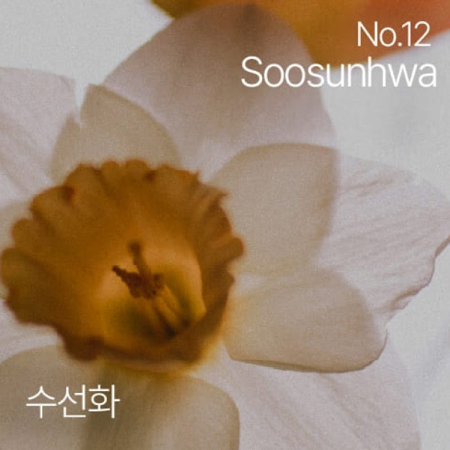 hetras沐浴乳1013ml#水仙花 Soosunhwa